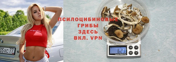 крисы Алзамай