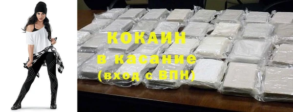 соль ск Алексин