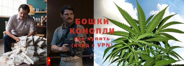 соль ск Алексин