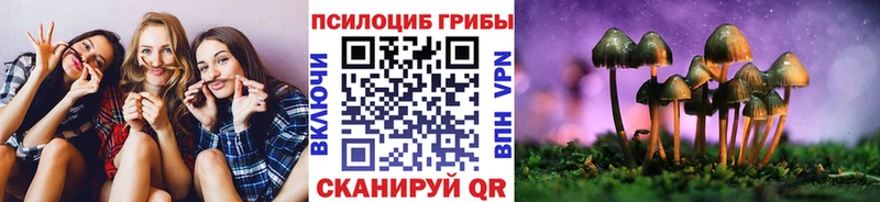 Псилоцибиновые грибы Cubensis  Шебекино 