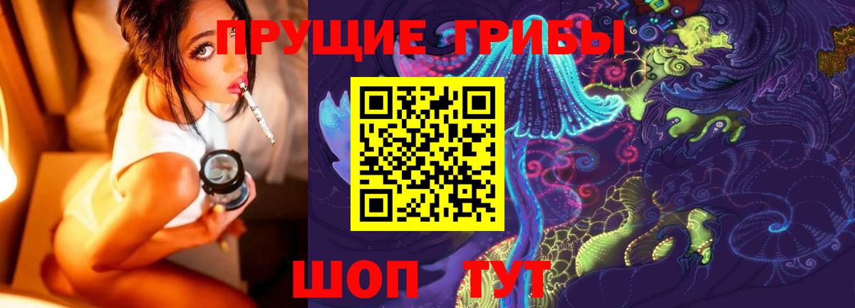 Галлюциногенные грибы Cubensis  Псилоцибиновые грибы Psilocybe  Шебекино  Вход с VPN 